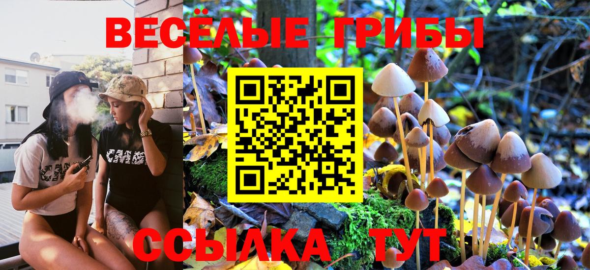 Галлюциногенные грибы MAGIC MUSHROOMS  Псилоцибиновые грибы MAGIC MUSHROOMS  Алексин  Вход с VPN 